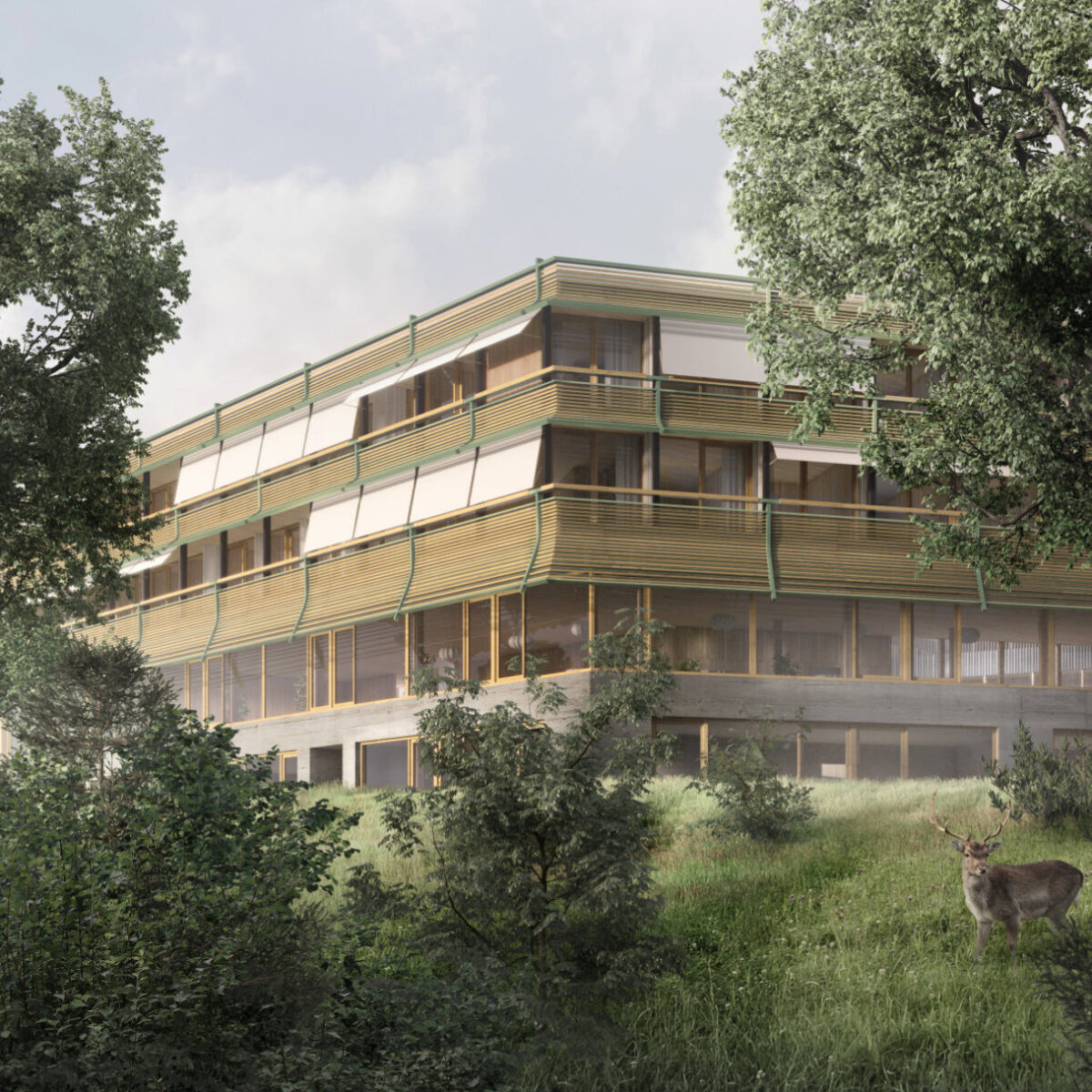 Wald – Neubau Rehab Klinik Wald