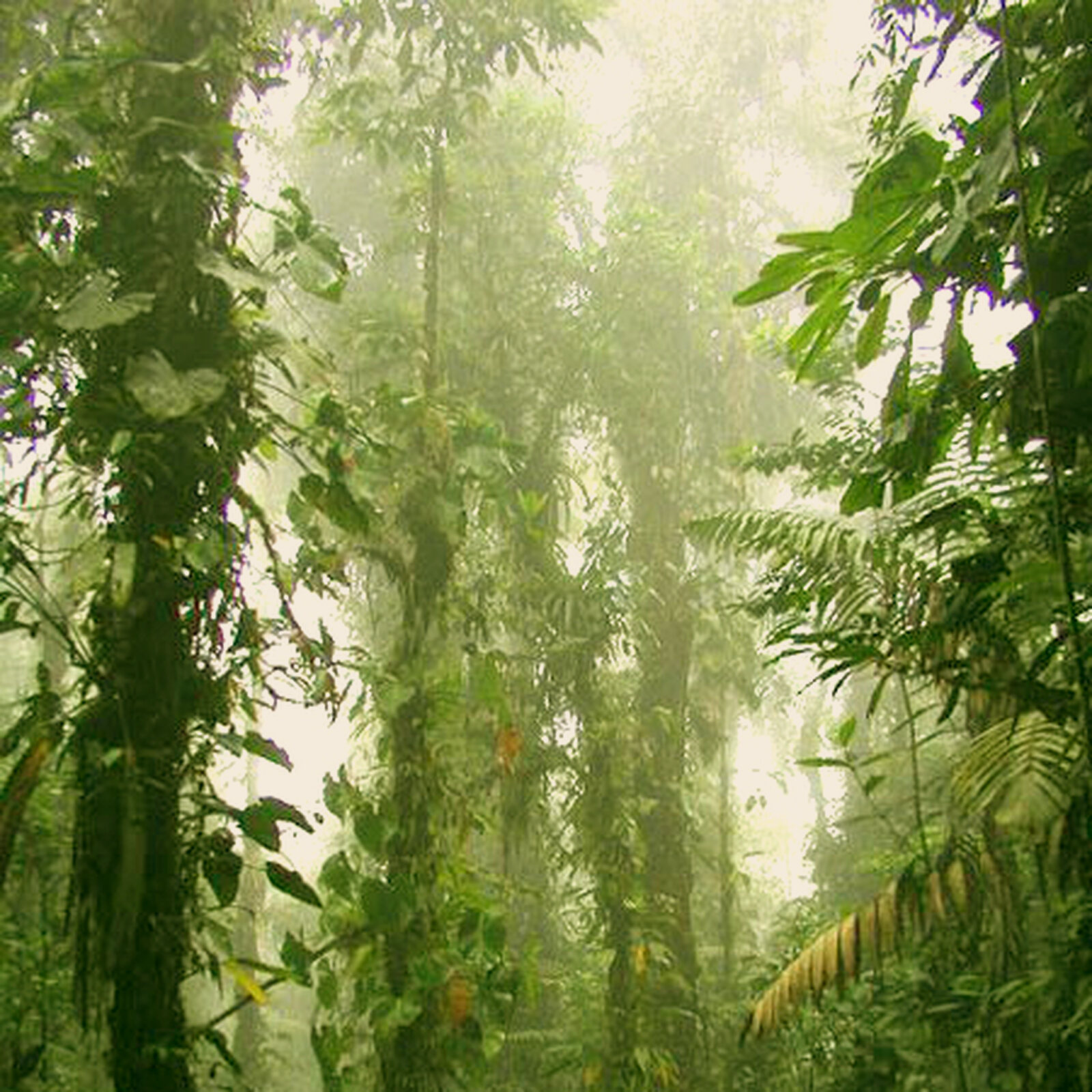 Elefantenpark - Neubau Elefantenanlage Zoo Zürich - Schmid Schaerer Architekten Zürich