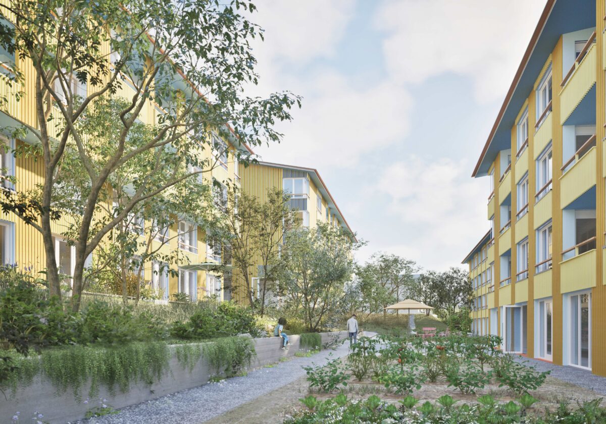 2. Preis in Bruderwies