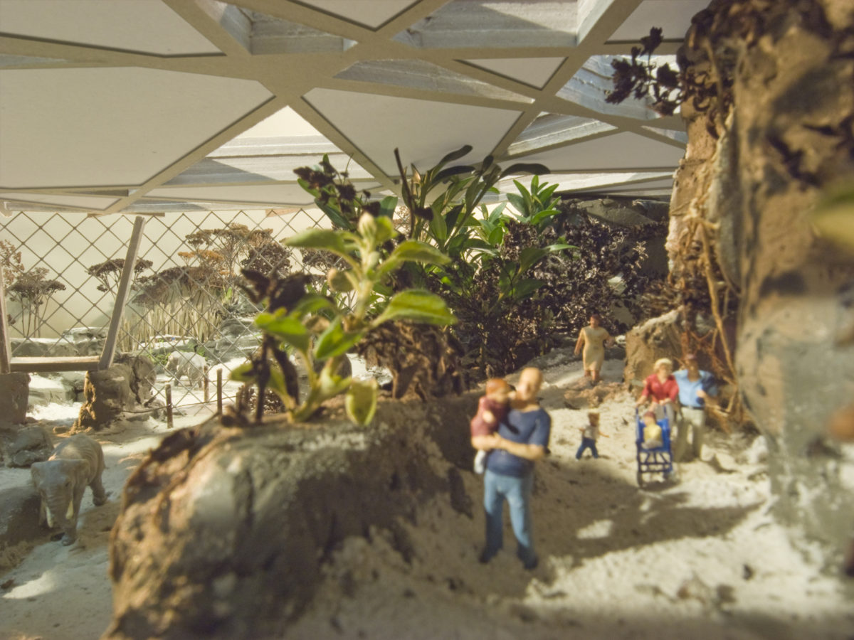 Elefantenpark - Neubau Elefantenanlage Zoo Zürich - Schmid Schaerer Architekten Zürich