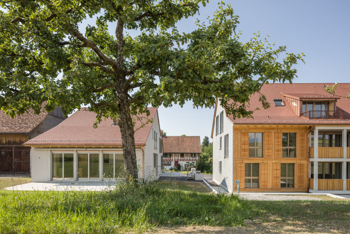 Seewadel - Neue Wohnhäuser in einem Weiler - Schmid Schaerer Architekten Zürich